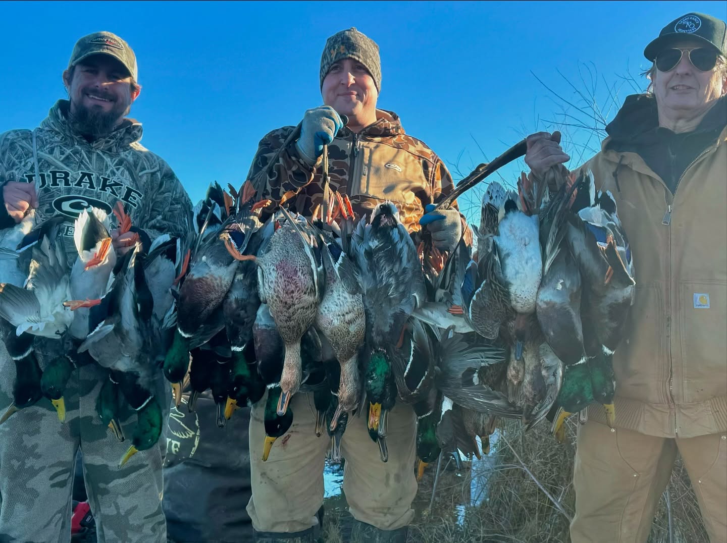 Three hunters holding heavy limits of mallards at sunrise
