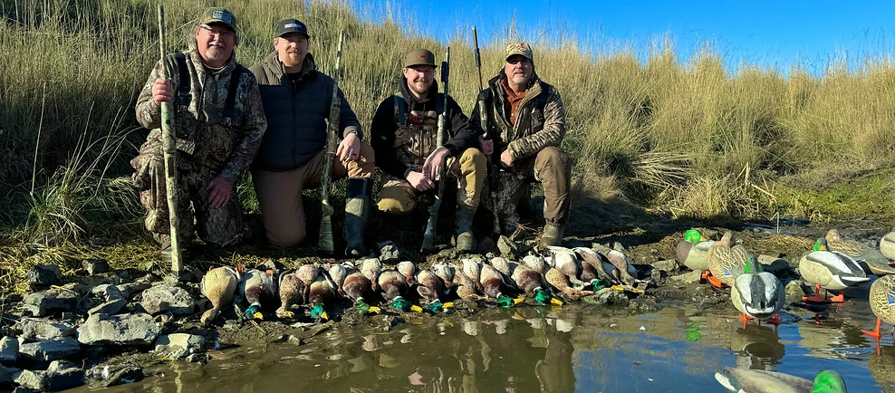 Four hunters with a mallard pile along a pond bank