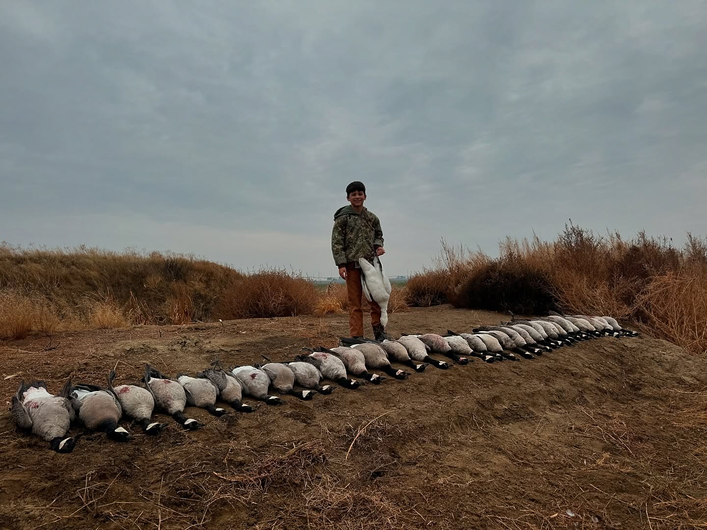 A young hunter standing over a long line of Canada geese