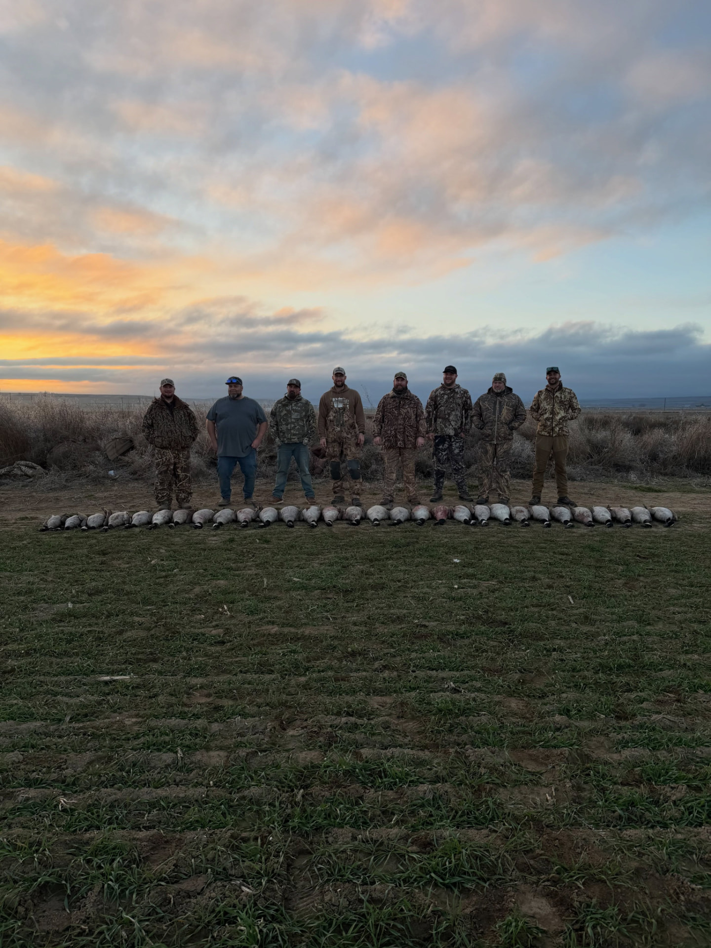 Eight hunters behind a goose pile under a sunset sky