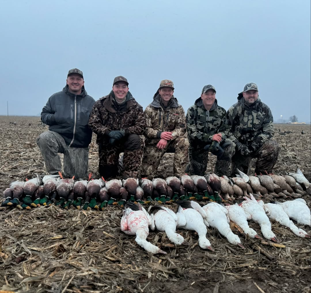 Five hunters kneeling behind a pile of ducks and snow geese in a cut cornfield
