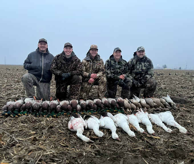 Five hunters with ducks and snow geese in a cornfield